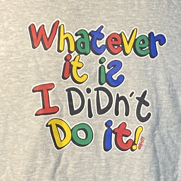 New Whatever It IS I Didn't Do It ASH colored youth Tee Shirt - Picture 2 of 3
